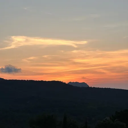 Apartment - Domaine Du Golf